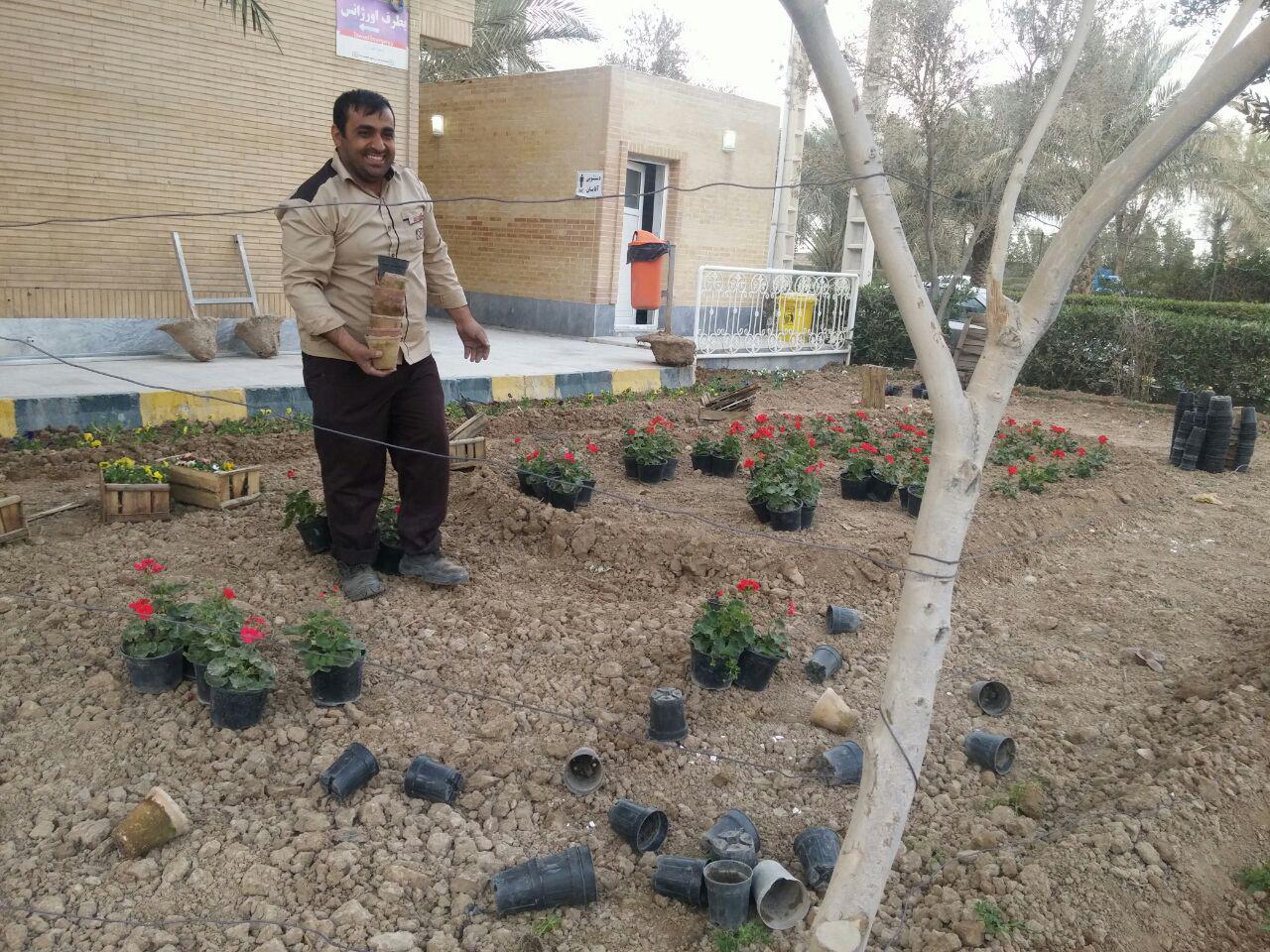 کاشت 20 نفر درخت خرما اصیل خوزستان در بیمارستان آپادانا